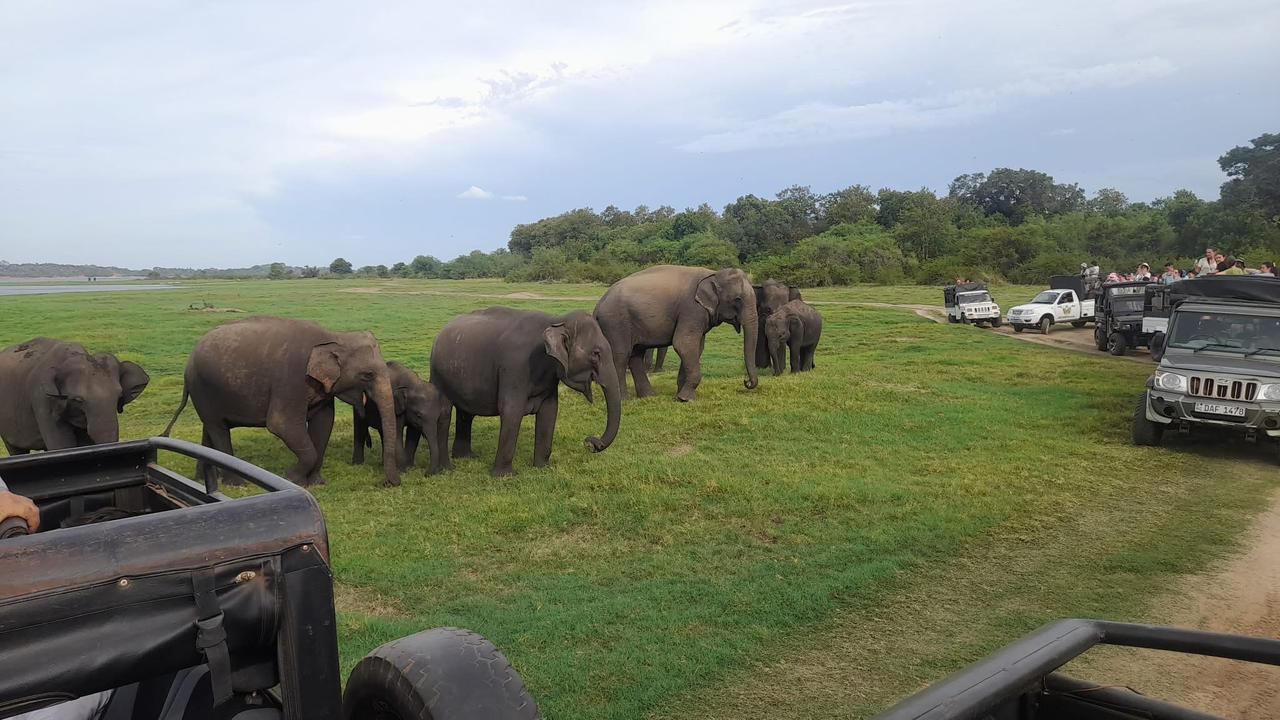 WhatsApp Image 2025-09-02 at 11.18.34_b7be7e15