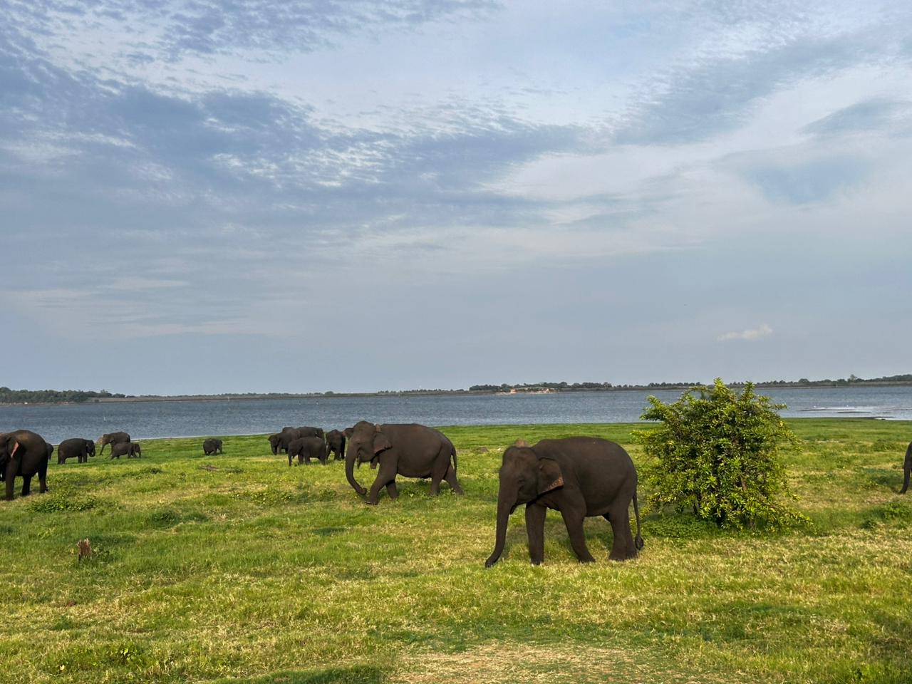 WhatsApp Image 2025-10-02 at 12.47.28_0c401c01